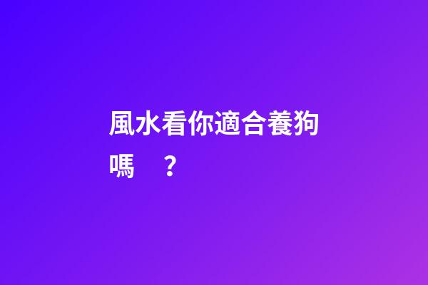 風水看你適合養狗嗎？